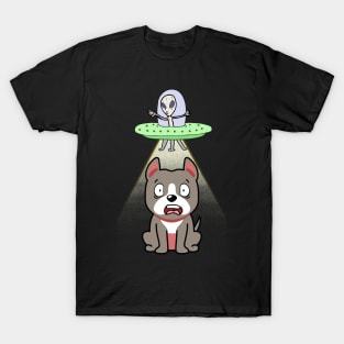 Cute grey dog is abducted by aliens T-Shirt